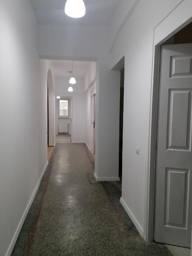Central Appartment - Heart Of Bucharest - Sector 1 - New Renovated - Open Space 外观 照片