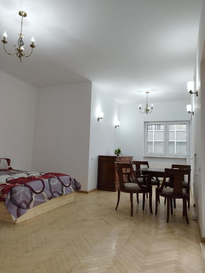 Central Appartment - Heart Of Bucharest - Sector 1 - New Renovated - Open Space 外观 照片